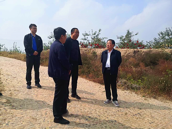 1601374221413965.jpg 3_副本.jpg